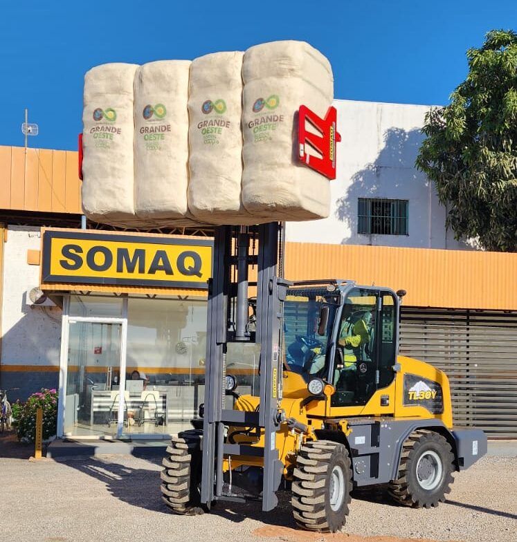 empilhadeira TL30Y 1